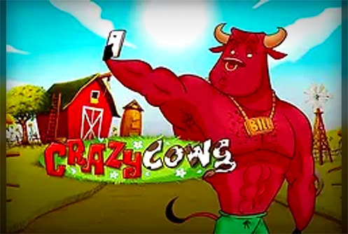 Crazy Cows